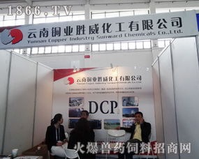 跨界融合 云南銅業(yè)勝威化工亮相中國(guó)飼料工業(yè)展覽會(huì)，展現(xiàn)銅業(yè)化工應(yīng)用新潛力